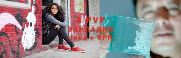 индика Володарск