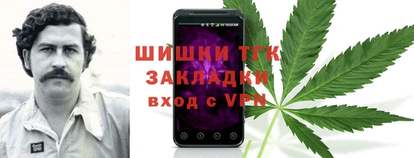 индика Володарск
