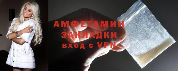 индика Володарск