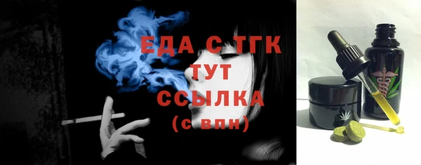 индика Володарск