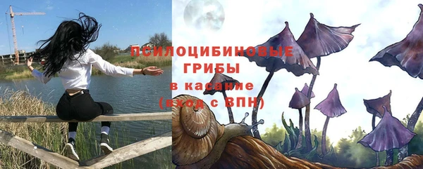 амф Бронницы