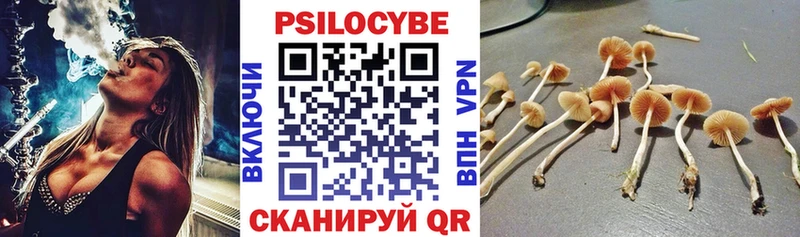 KRAKEN ONION  Ейск  Псилоцибиновые грибы GOLDEN TEACHER 
