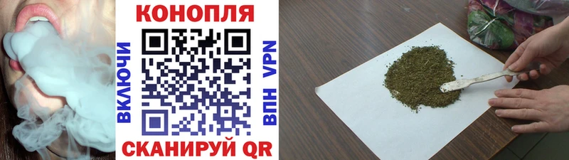 хочу   Ейск  Бошки марихуана Ganja 